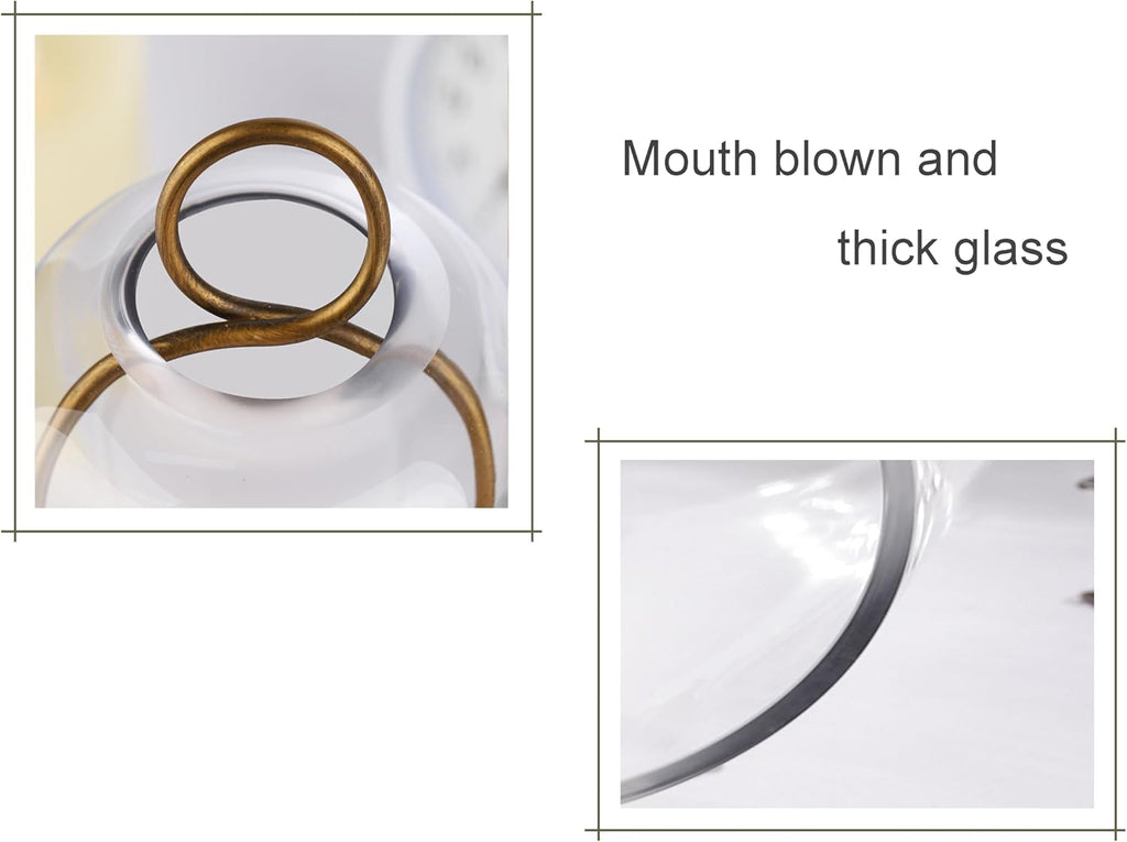 5" & 4" Wide Versatile Metal Candle Holder with Handmade Sturdy Glass Dome in Brass for Pillar Candle & Plants, 5.1" xH11.8 4" xH7.5, Industrial, Farmhouse, Shabby Chic. (2, Brass, Large & Small)